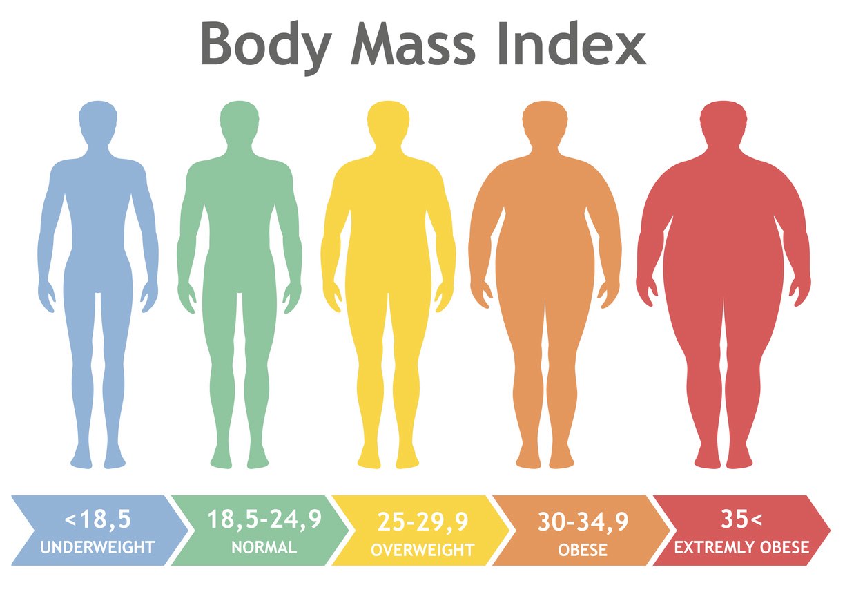 BMI Range